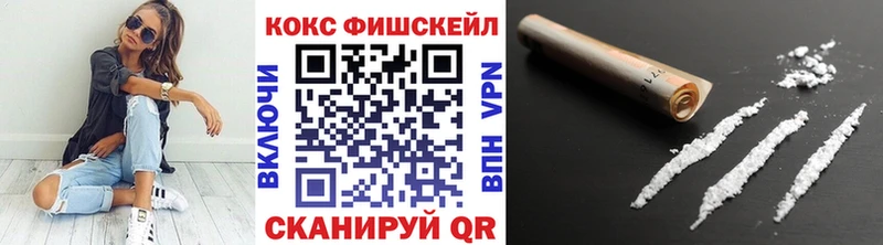 цена наркотик  Андреаполь  Кокаин FishScale 