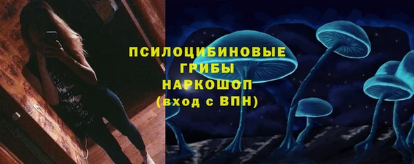 PSILOCYBIN Алексин