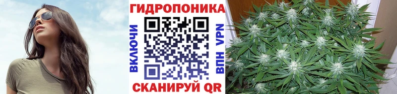 гидра ТОР  купить   Андреаполь  Конопля Ganja 
